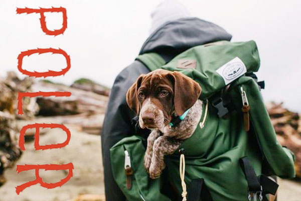 POLER新作商品 ” FURRY HEART CREW “