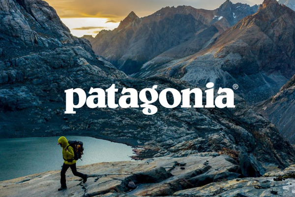 PATAGONIA ” SYNCH FLEECE VEST “