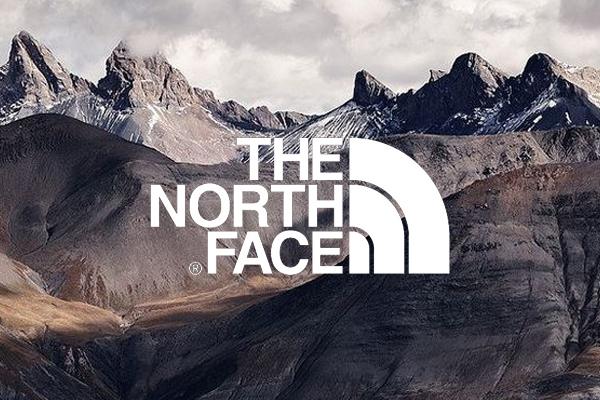 THE NORTH FACE 定番の人気フリース ” DENALI 2 JACKET “